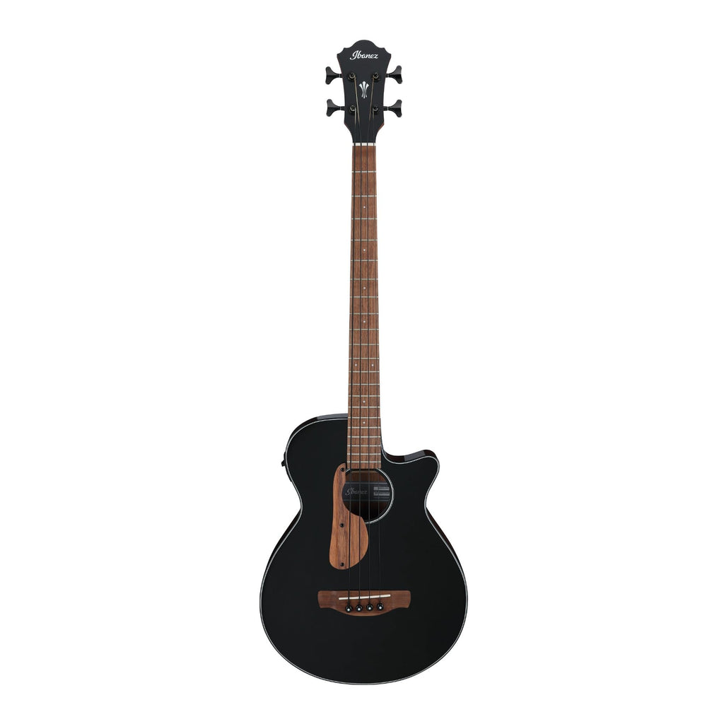 Black High Gloss Acoustic-electric Bass Guitar P501