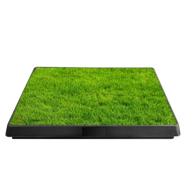 25" x 20" Artificial Grass Dog Potty with Removable Waste Tray W847573