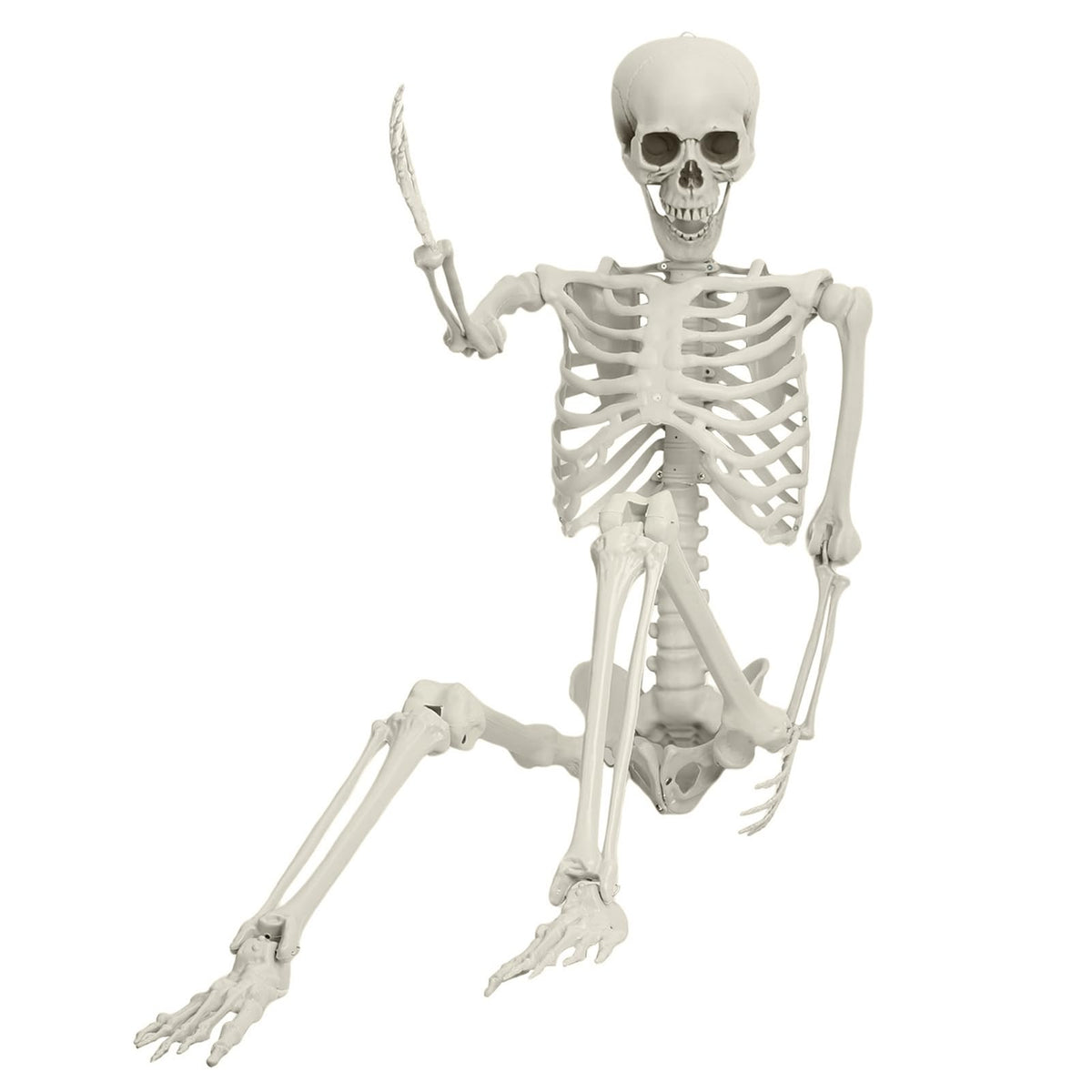 5.4ft Posable Plastic Skeleton Q802679