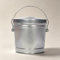 6 Gal Galvanized Metal Bin Locking Lid R80057