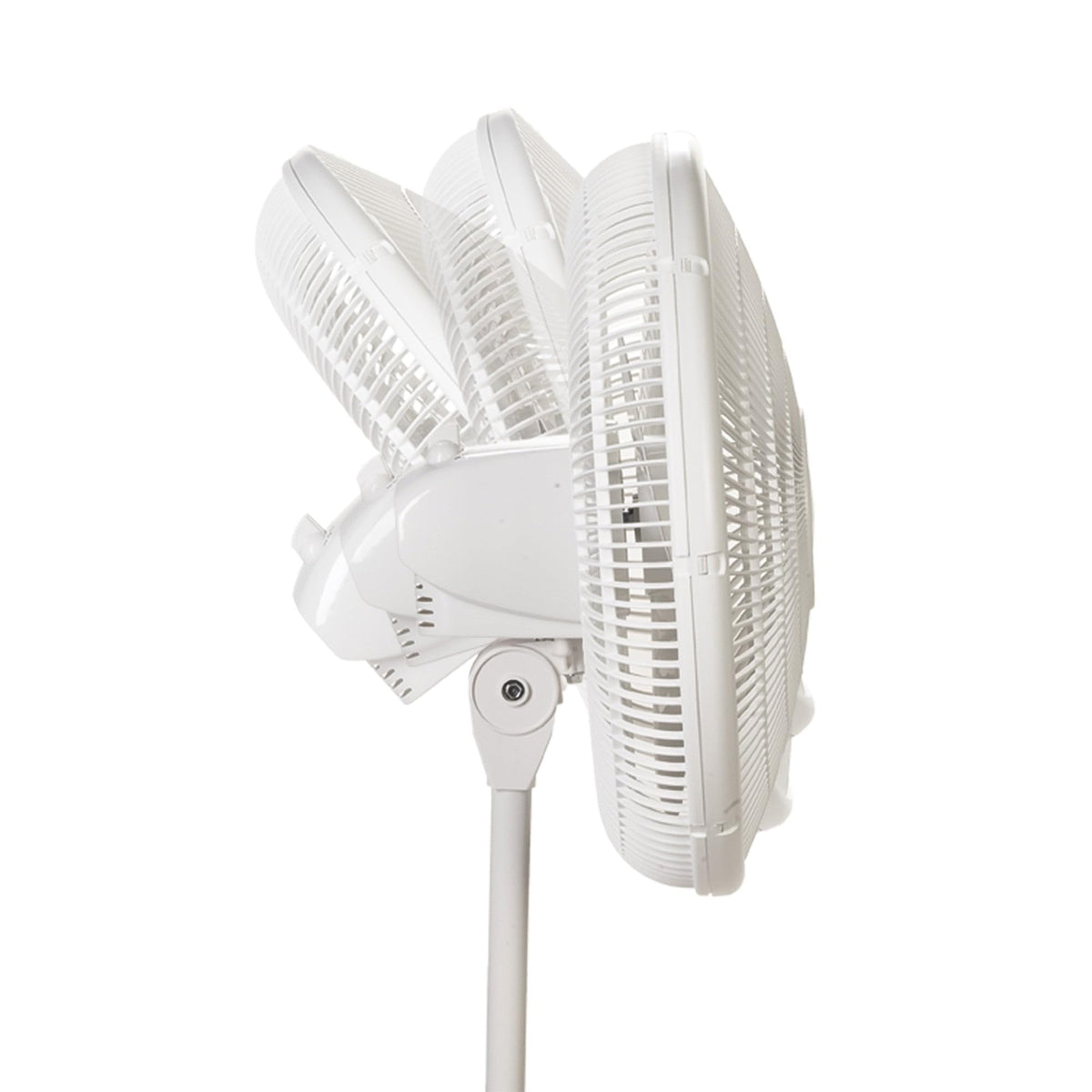16" Oscillating 3-Speed Pedestal Fan White Y9719