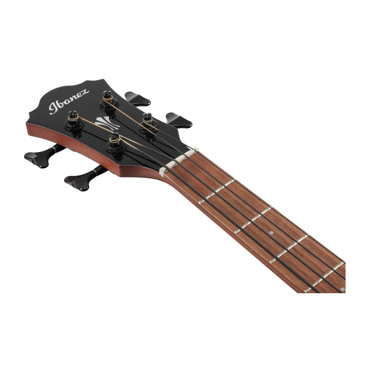 Black High Gloss Acoustic-electric Bass Guitar P501