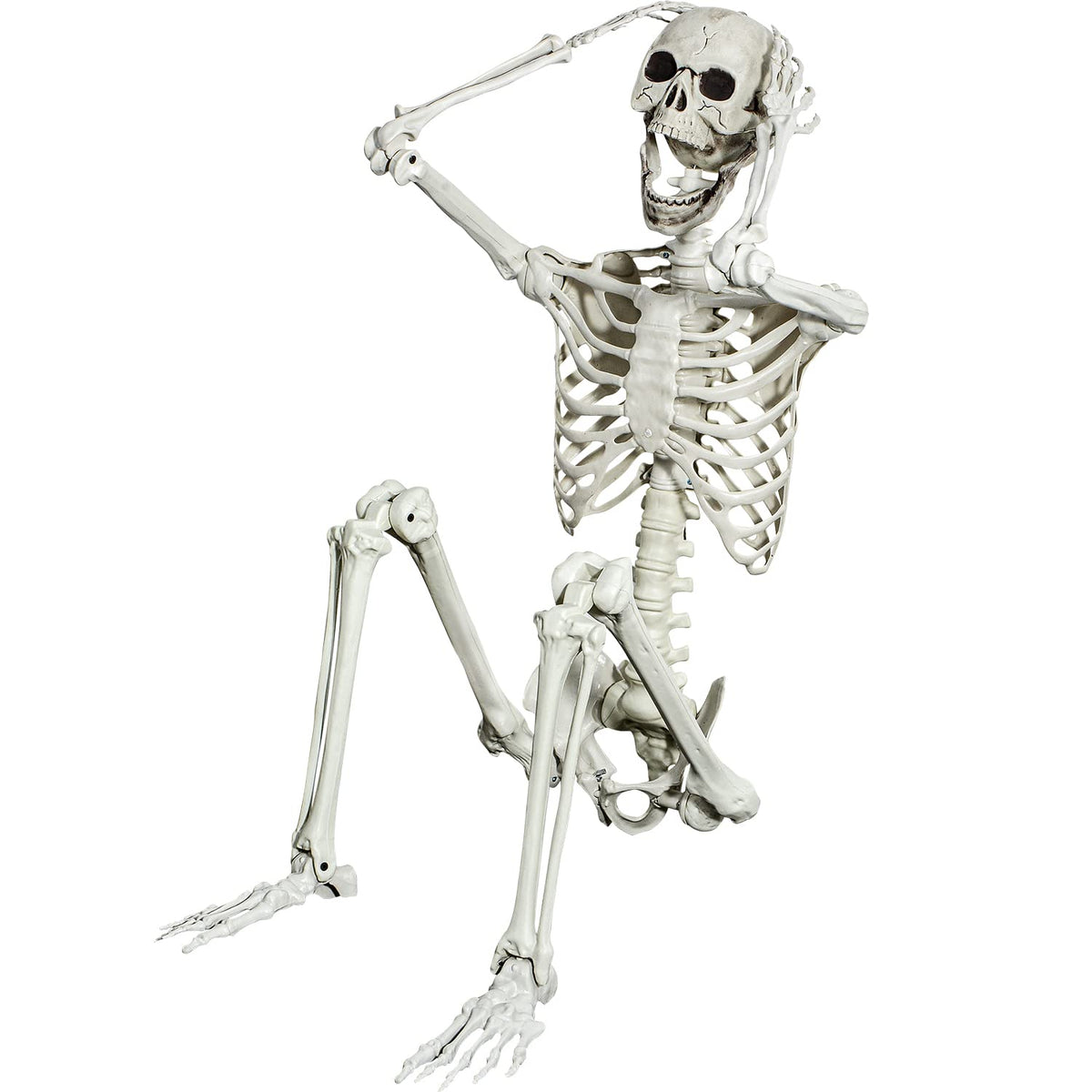 5.4ft Posable Full Body Skeleton with Movable Joints C120308