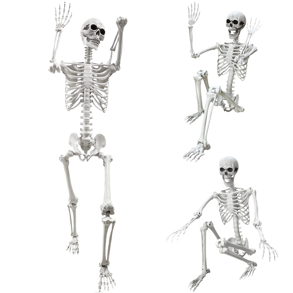 5.4Ft Life Size Human Skeleton with Movable Joints I35631
