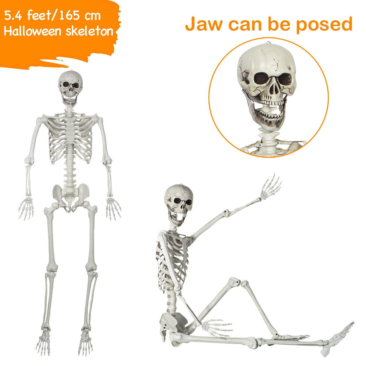 5.4ft Posable Full Body Skeleton with Movable Joints C120308