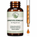 B12 Appetite Stimulant for Cats & Dogs 1 fl oz Roast Chicken Flavor S687250