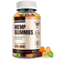 Hemp Gummies 1 Pack Low Sugar B9172