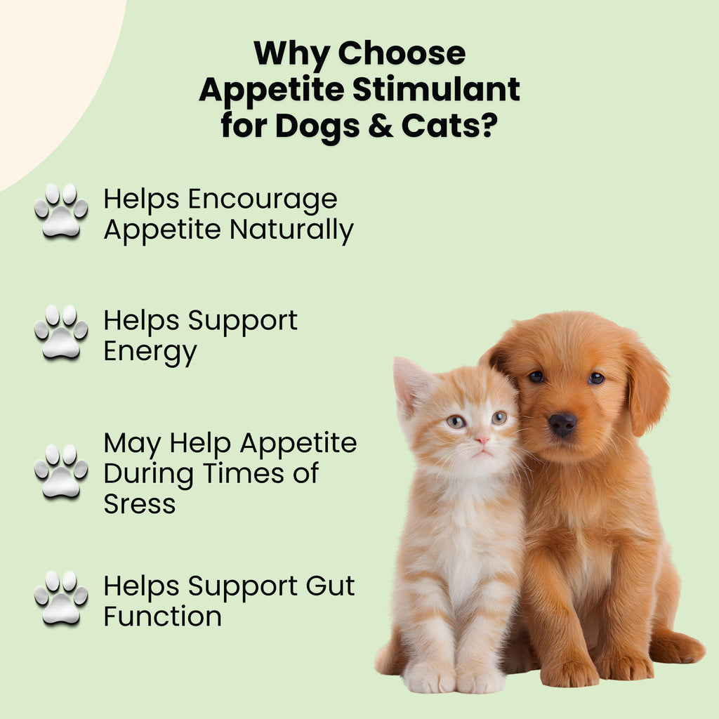 B12 Appetite Stimulant for Cats & Dogs 1 fl oz Roast Chicken Flavor S687250