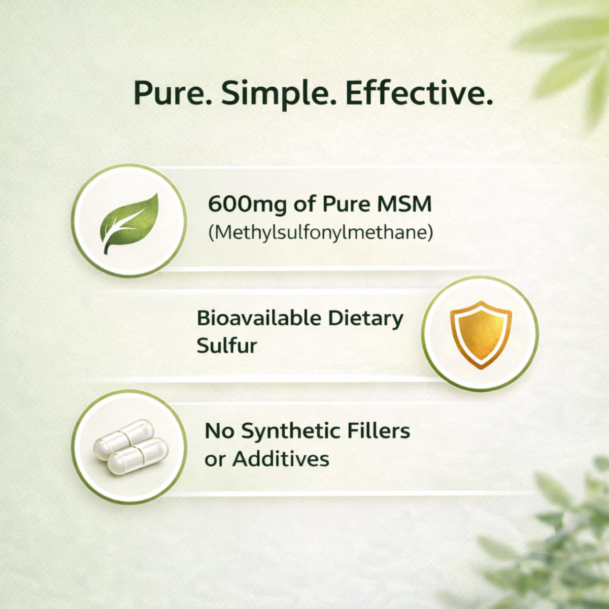 MSM Supplement 600mg 100 Gelatin Capsules F335