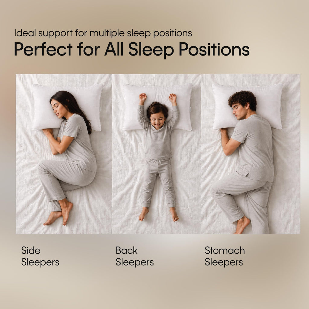 King Size Set of 2 Down Alternative Pillow R184641