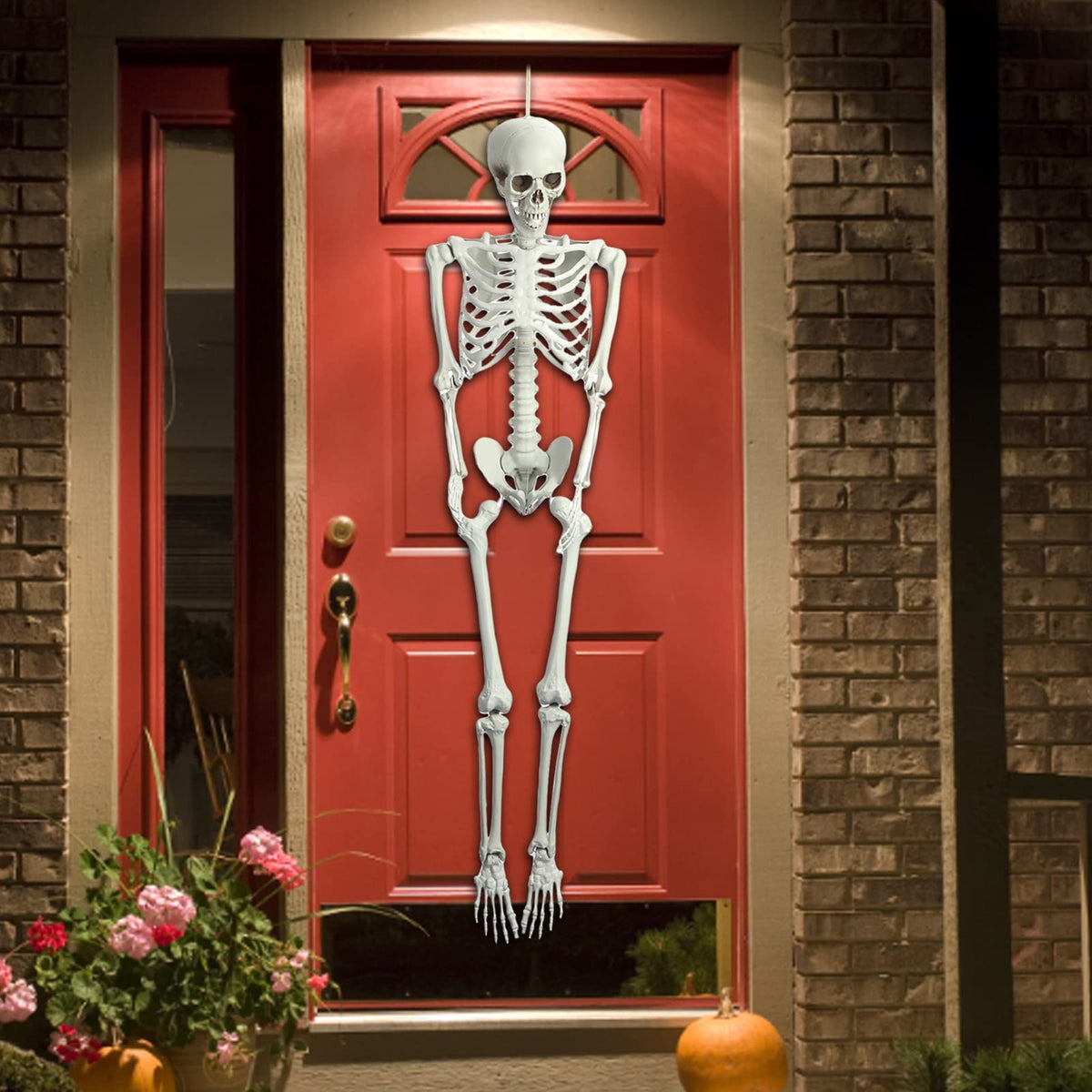 5.4FT Posable Full Body Skeleton with Movable Joints X109