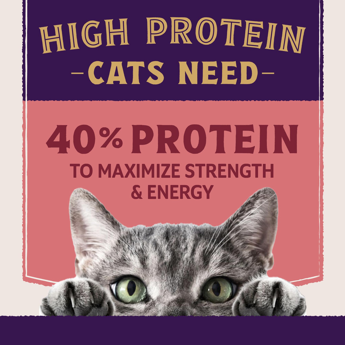 Salmon & Chicken Meal Protein Plus 5 lb C549889