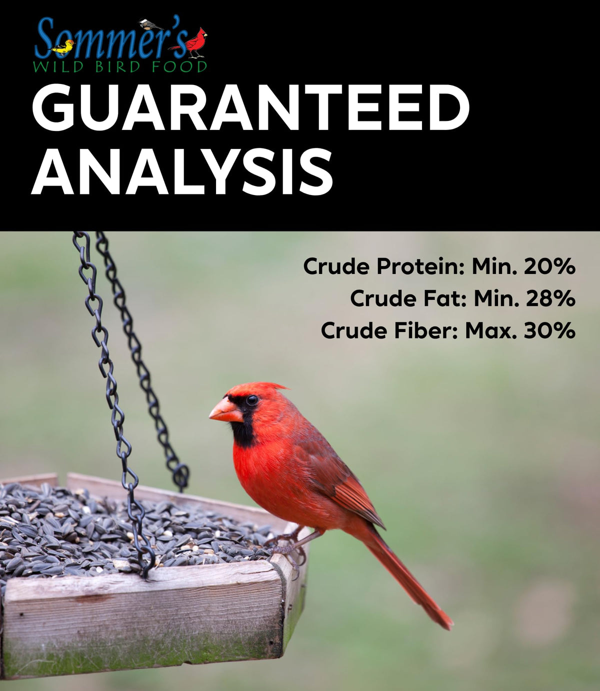Bird Seed, 20 lb H135926