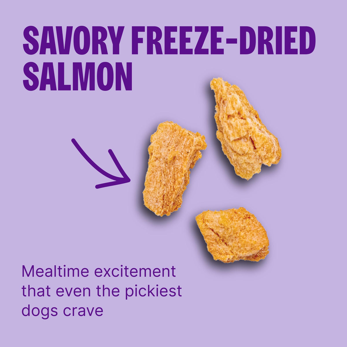 Sensitive Skin and Stomach Dry Dog Food with Freeze Dried Pieces, 4 lb Bag V6295