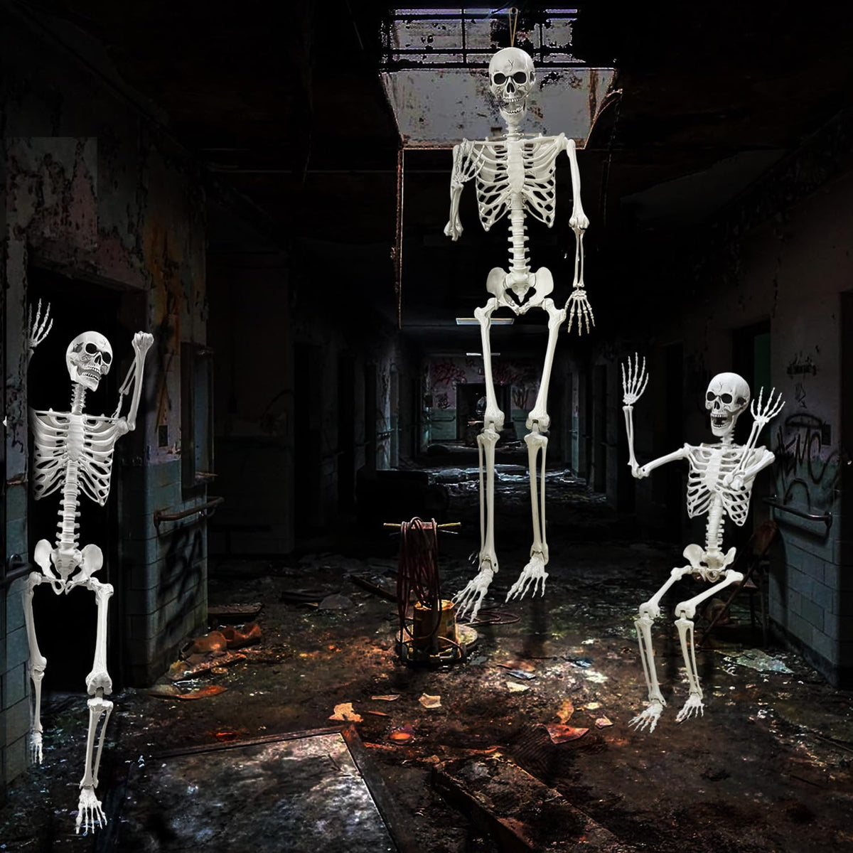 5.4Ft Life Size Human Skeleton with Movable Joints I35631