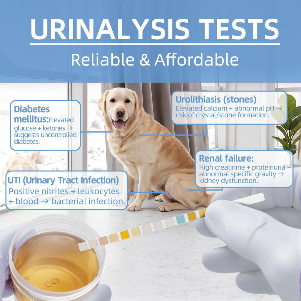 Dog & Cat UTI Blood Test Strips 100ct V5733