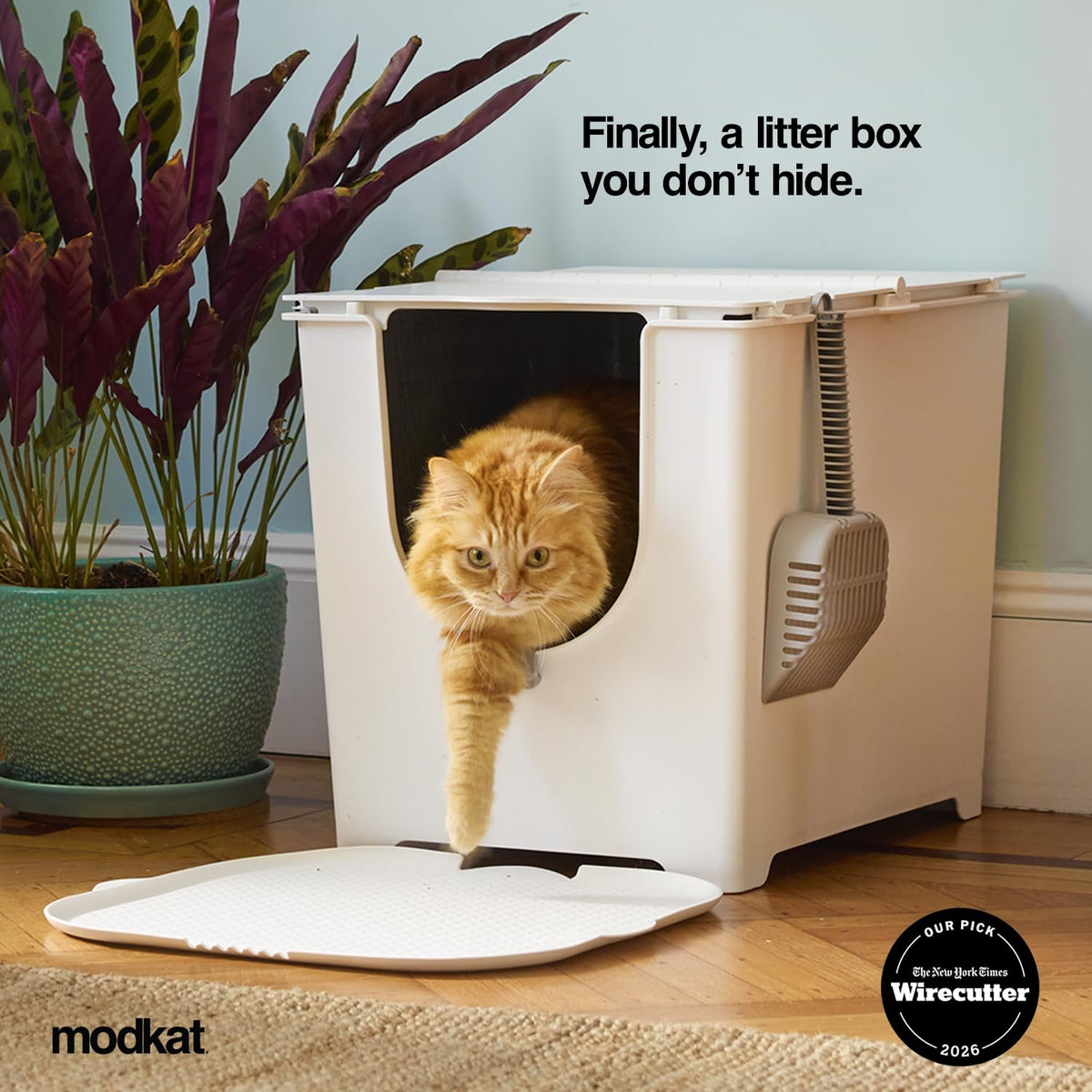 Covered Litter Box R617