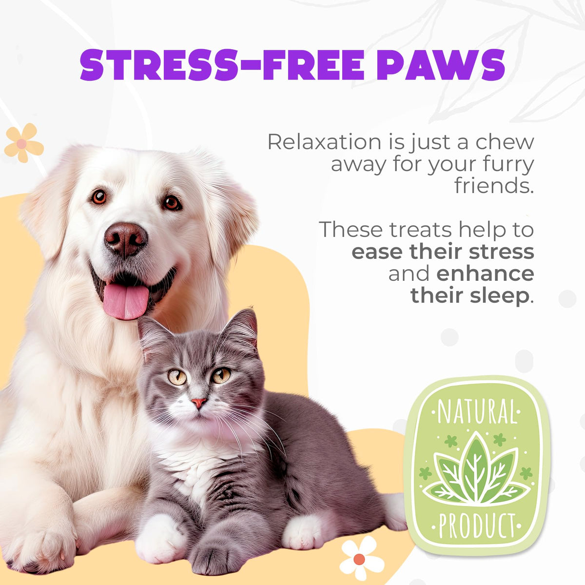 Chicken Flavor 60 Count Calming Chews for Dogs W429467