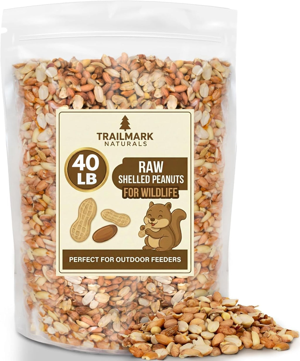 Raw Shelled Peanuts T854025
