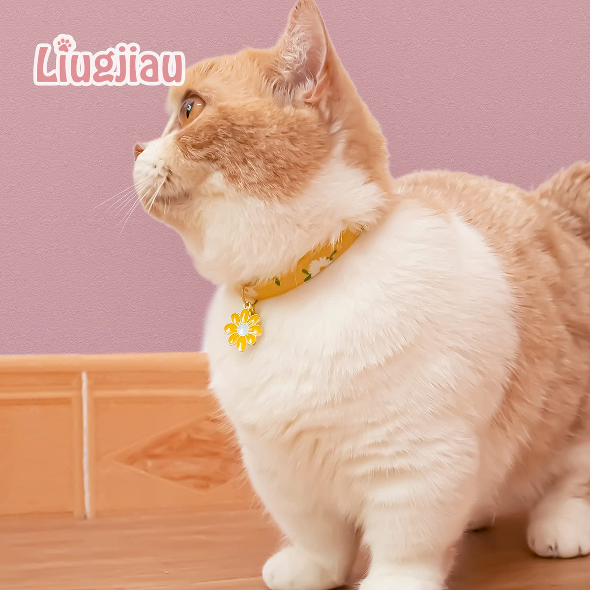 2 Pack Cotton Breakaway Cat Collar with Bell Z427436