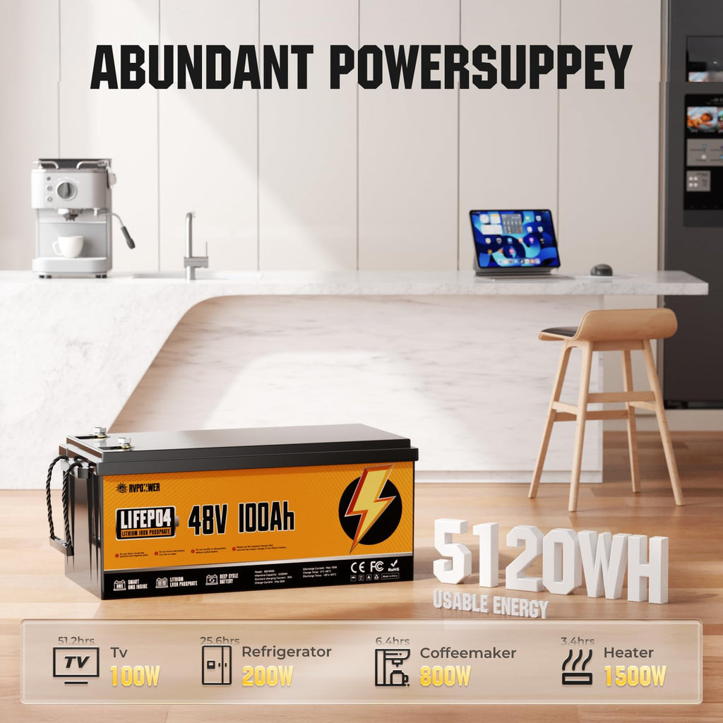 48V 100Ah LiFePO4 Battery with 100A BMS O8446
