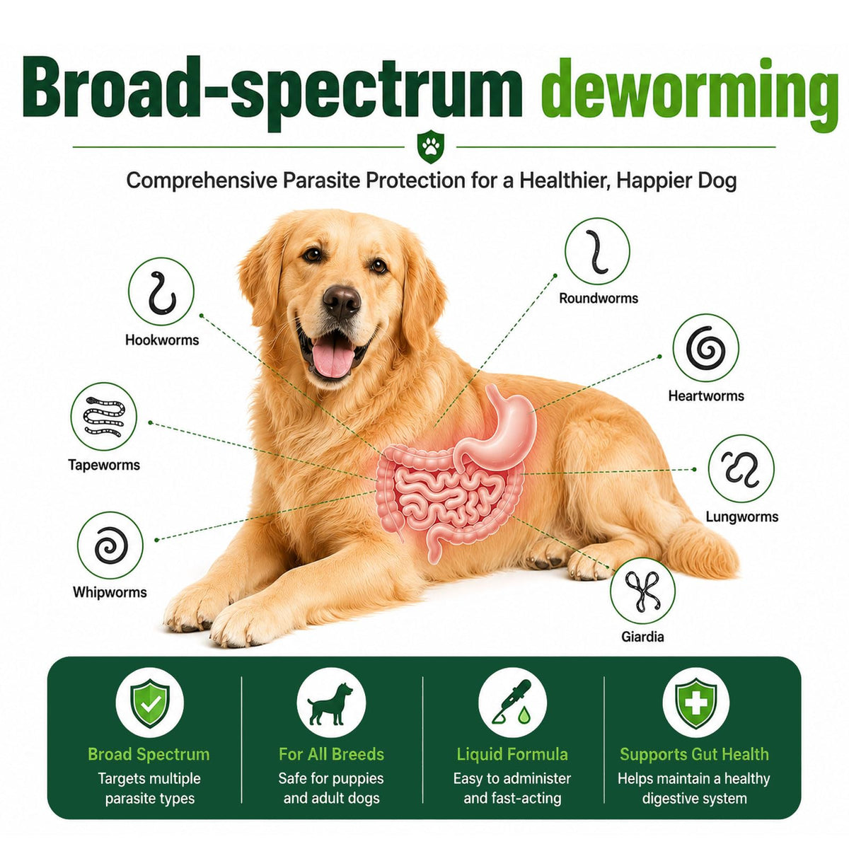 Liquid Broad Spectrum Dog Dewormer 120ml Z953