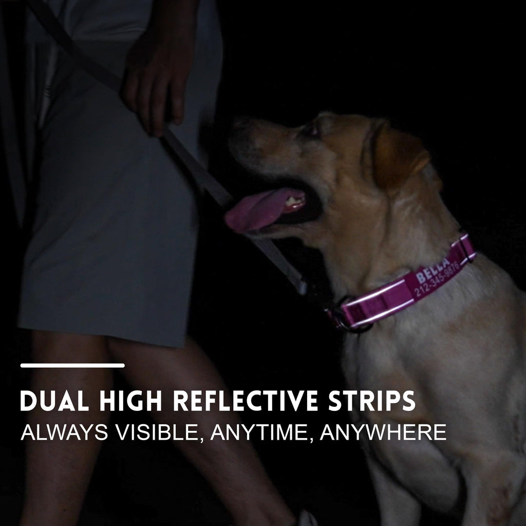 Tactical Dog Collar with Handle B675992