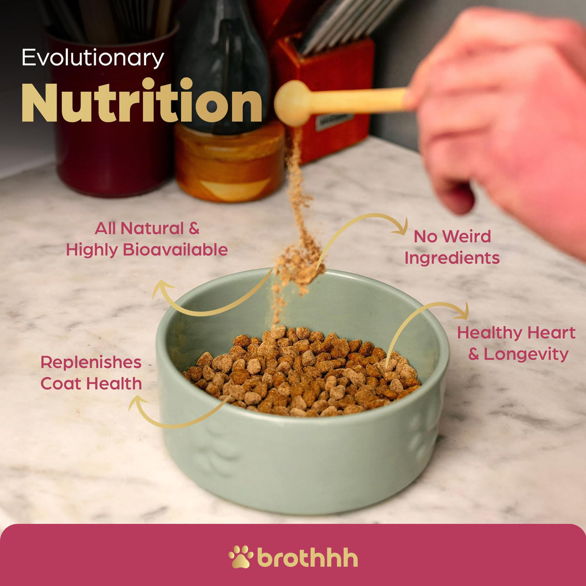 Beef Organ Bone Broth Meal Topper for Dogs Q633