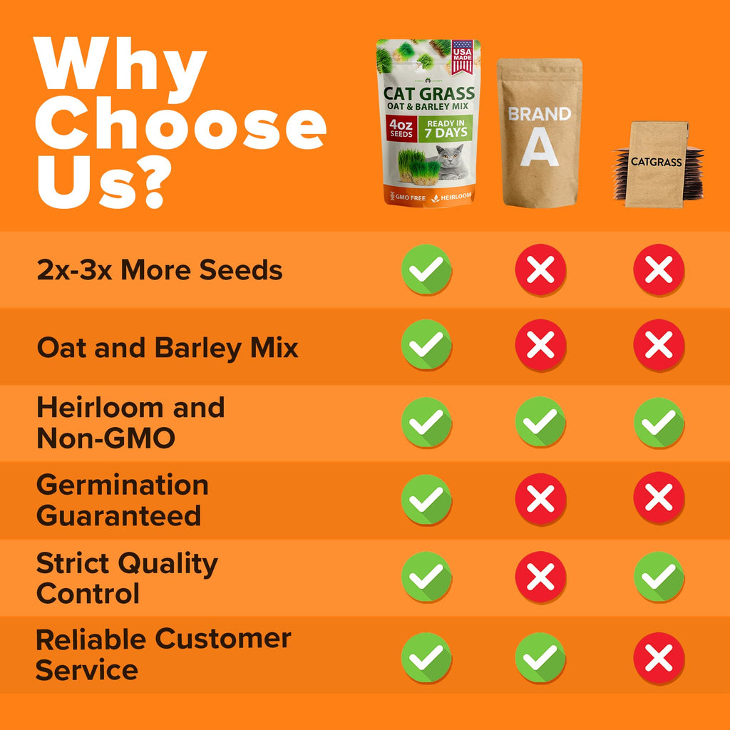 Cat Grass Seeds 4 oz Oat & Barley Mix B945