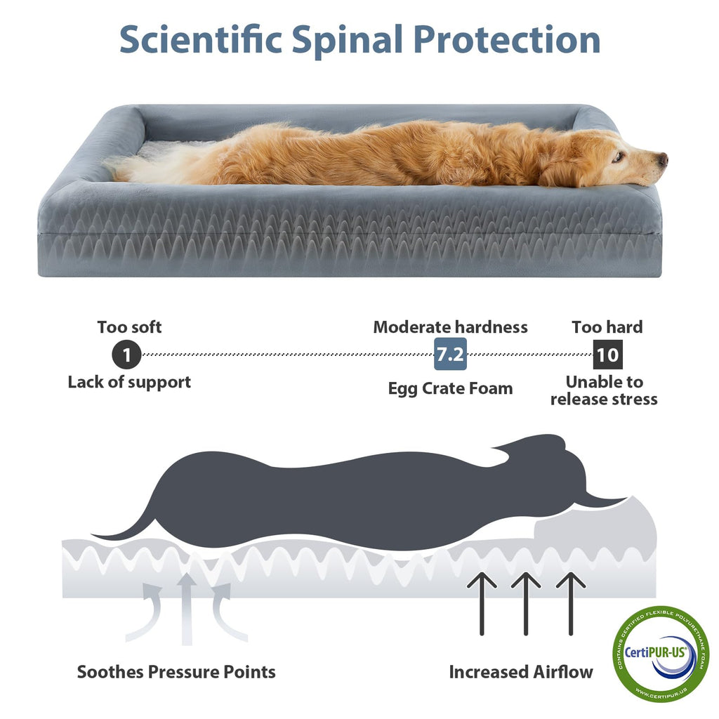 XL Extra Large Orthopedic Dog Bed H342