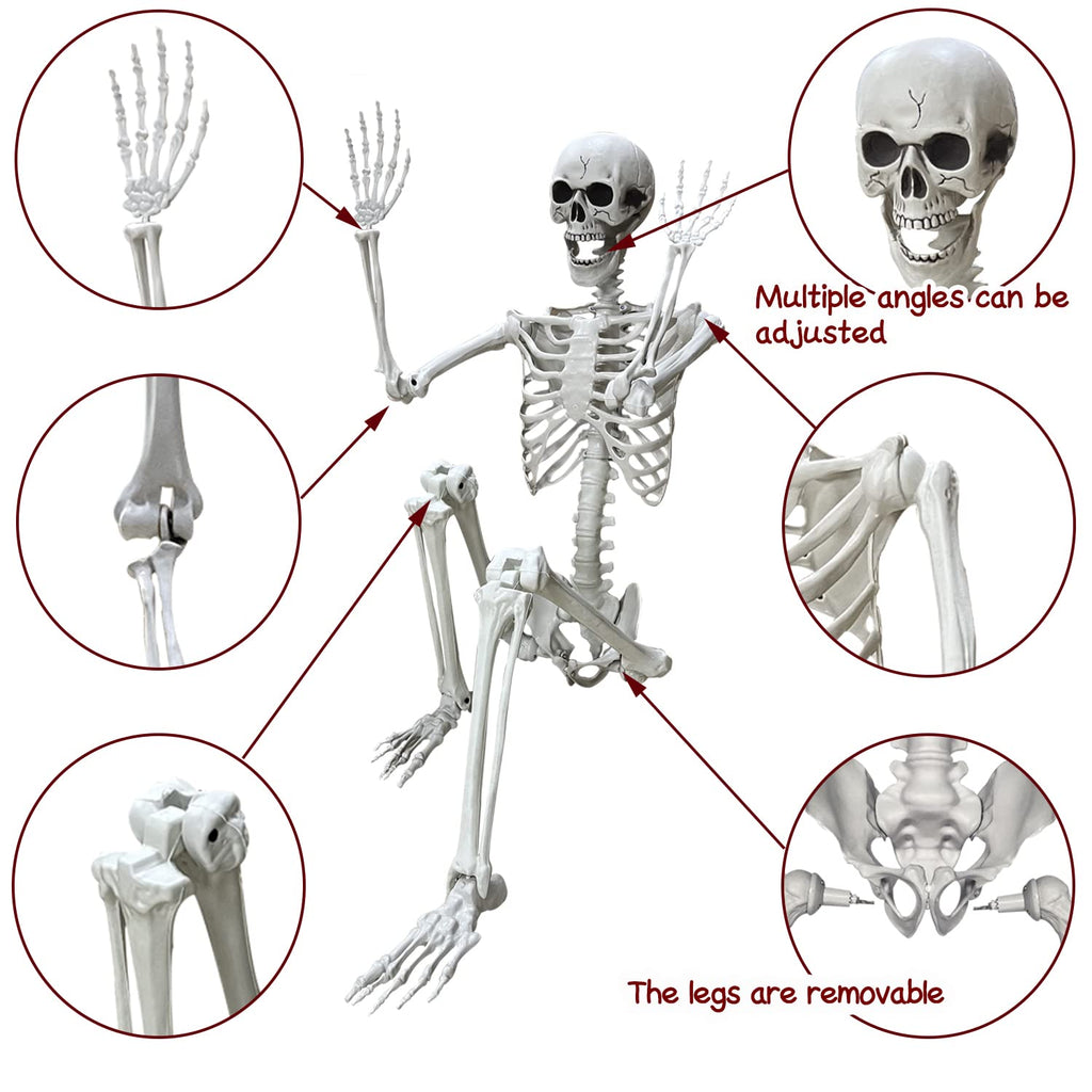 5.4Ft Life Size Human Skeleton with Movable Joints I35631
