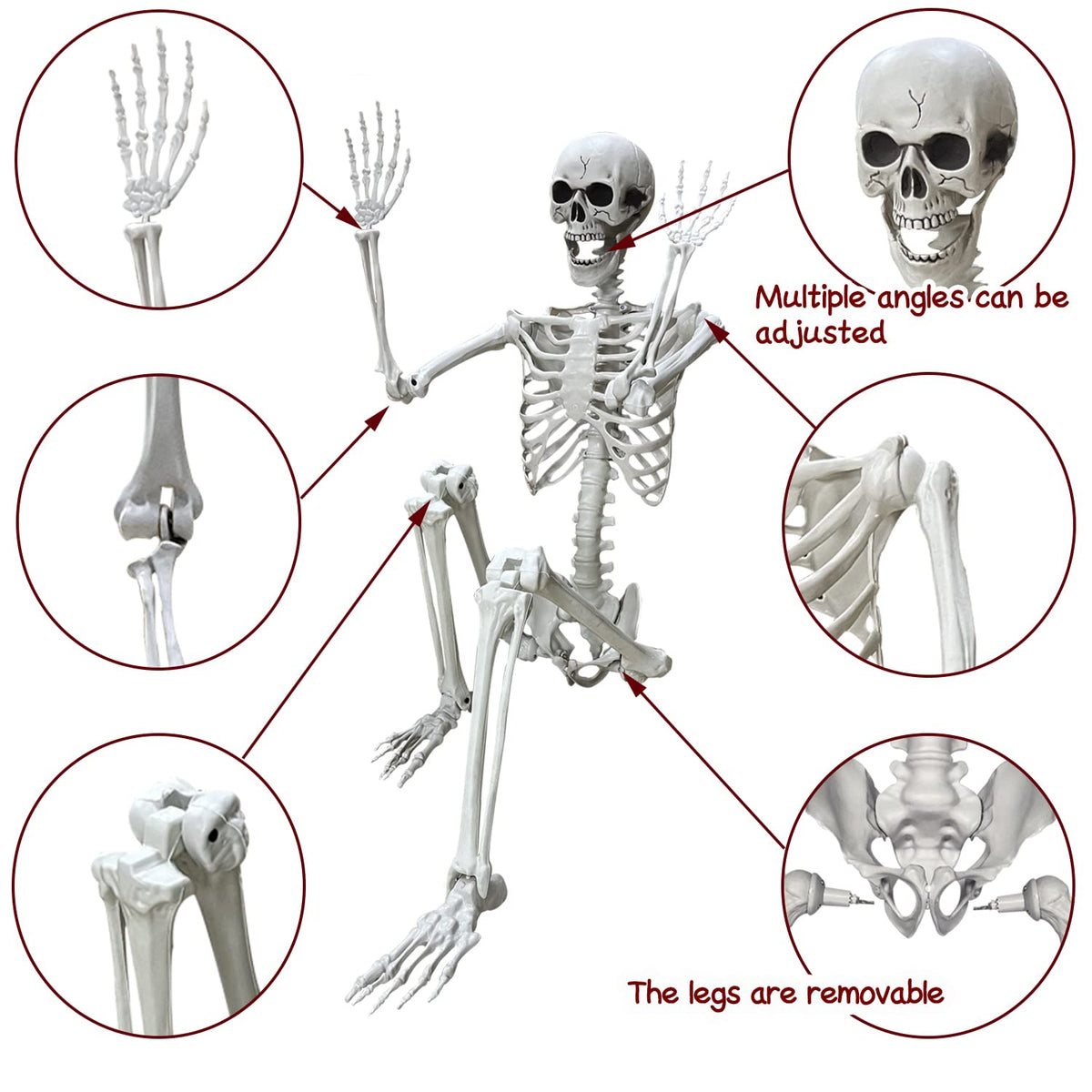 5.4Ft Life Size Human Skeleton with Movable Joints I35631