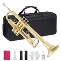 Brass Standard Trumpets with Bag, Mouthpiece, Strap, Gloves, Cleaning Cloth, Trumpet Oil X606560