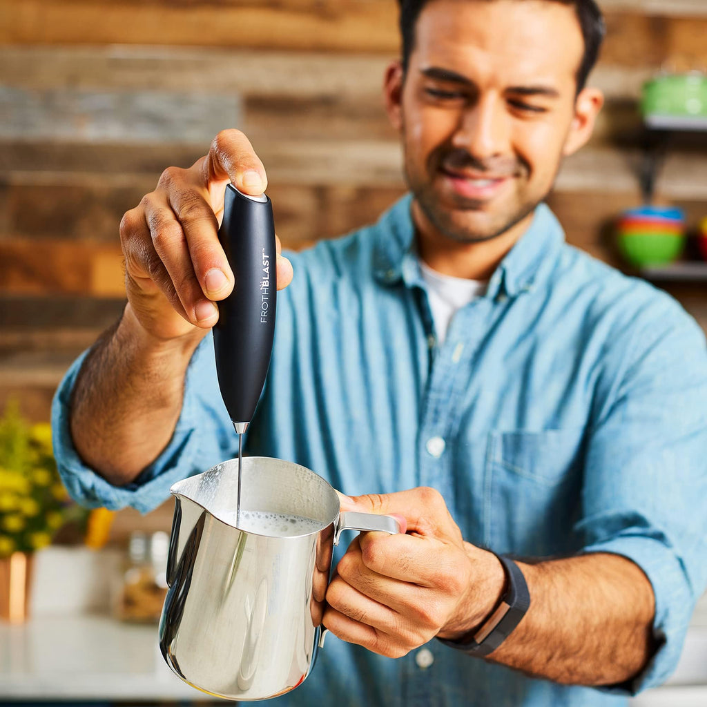 Handheld Milk Frother W73056