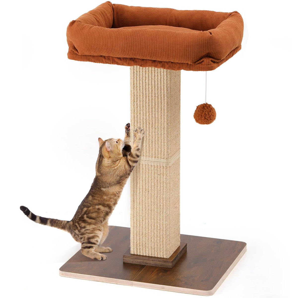 Cat Scratching Post with Perch X887
