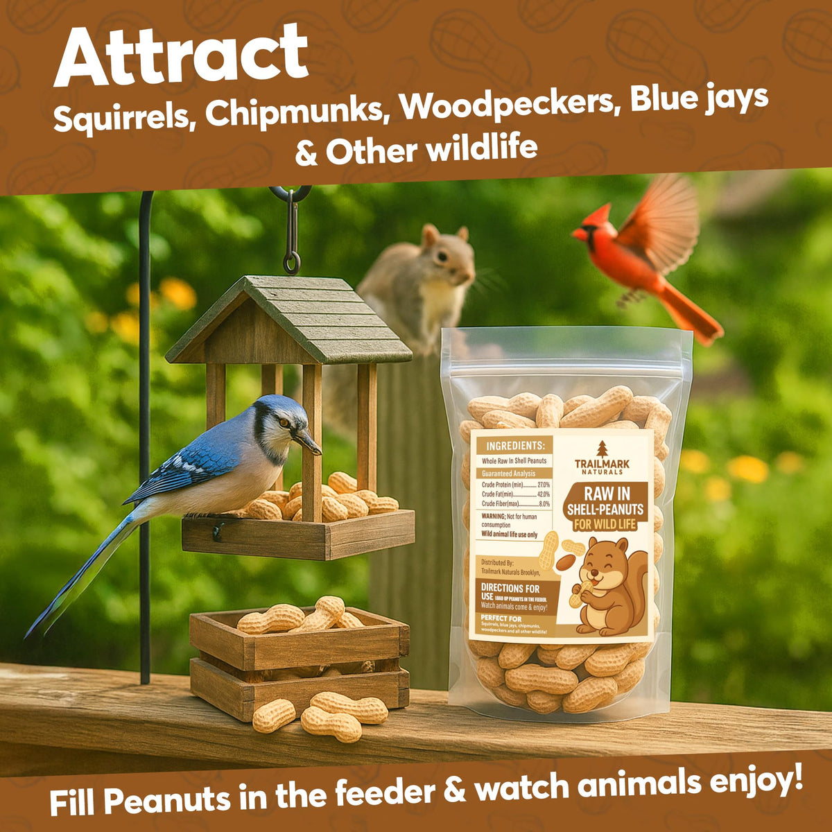 Raw Peanuts in Shell for Squirrels, Birds and Wildlife F53539