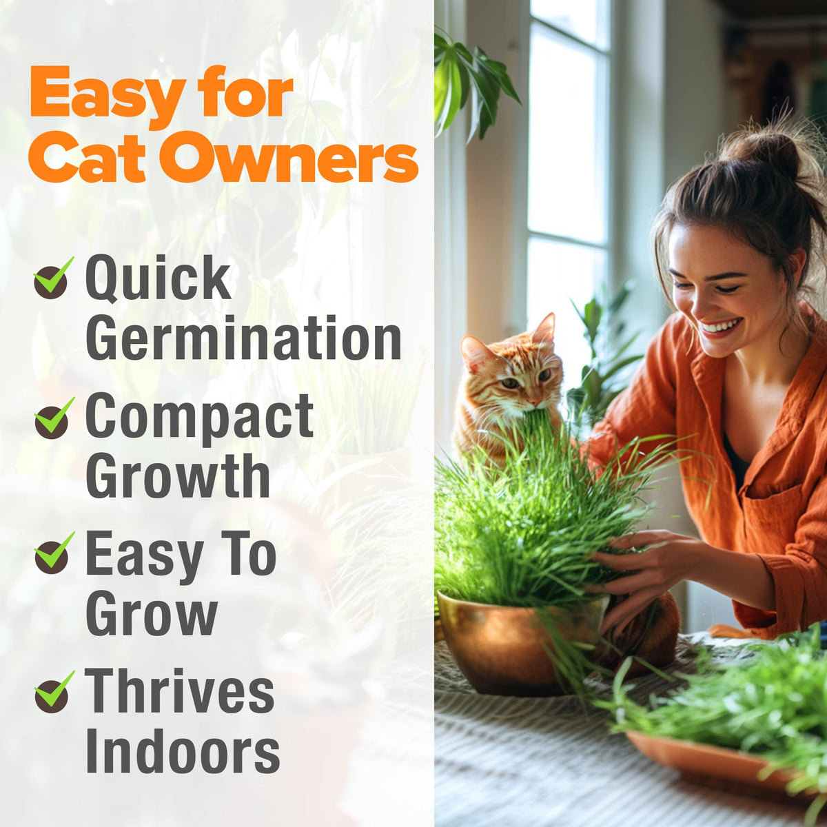 Organic Cat-Grass Seed Mix 4 oz B8279