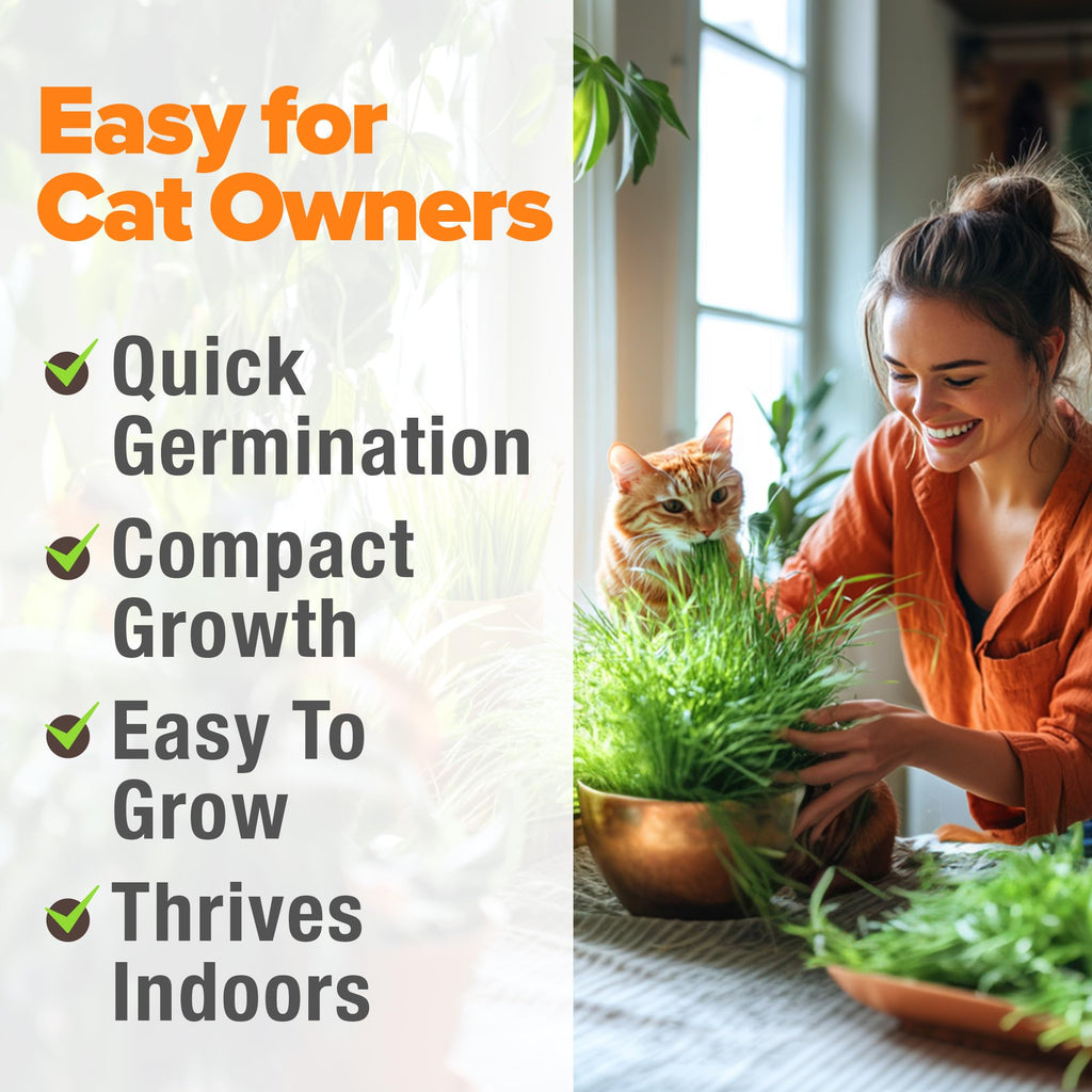 Cat Grass Seeds 4 oz Oat & Barley Mix B945