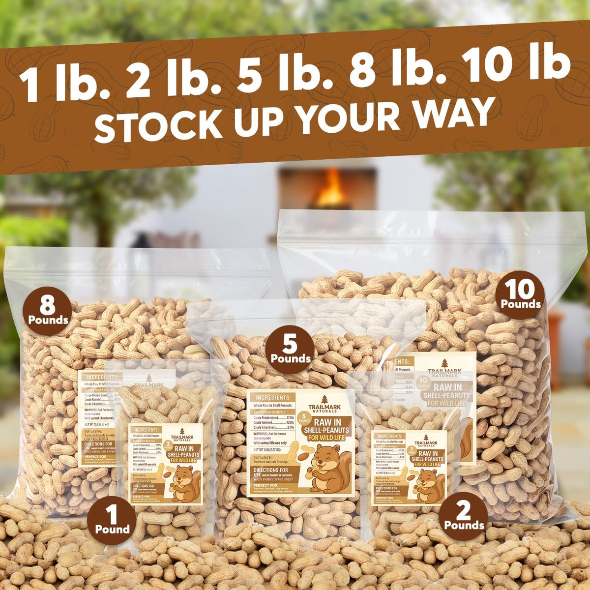 Raw Peanuts in Shell for Squirrels, Birds and Wildlife F53539