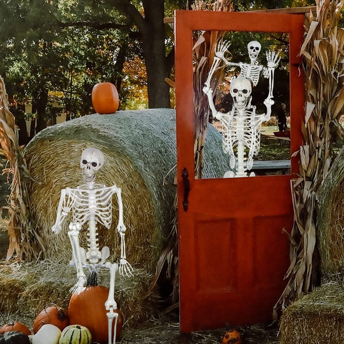 5.4ft Posable Full Body Skeleton with Movable Joints C120308