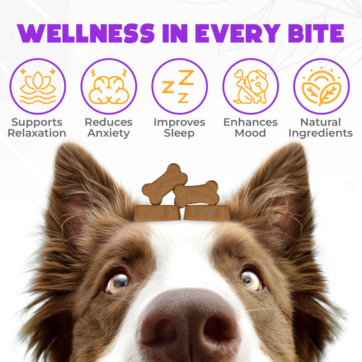 Chicken Flavor 60 Count Calming Chews for Dogs W429467