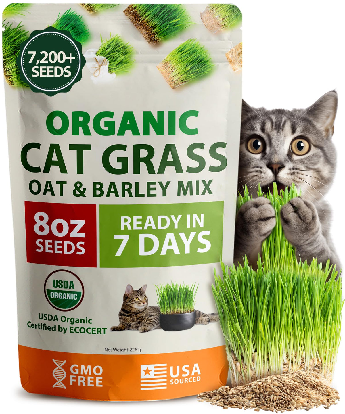 Organic Cat Grass Seeds 8oz Oat & Barley B910