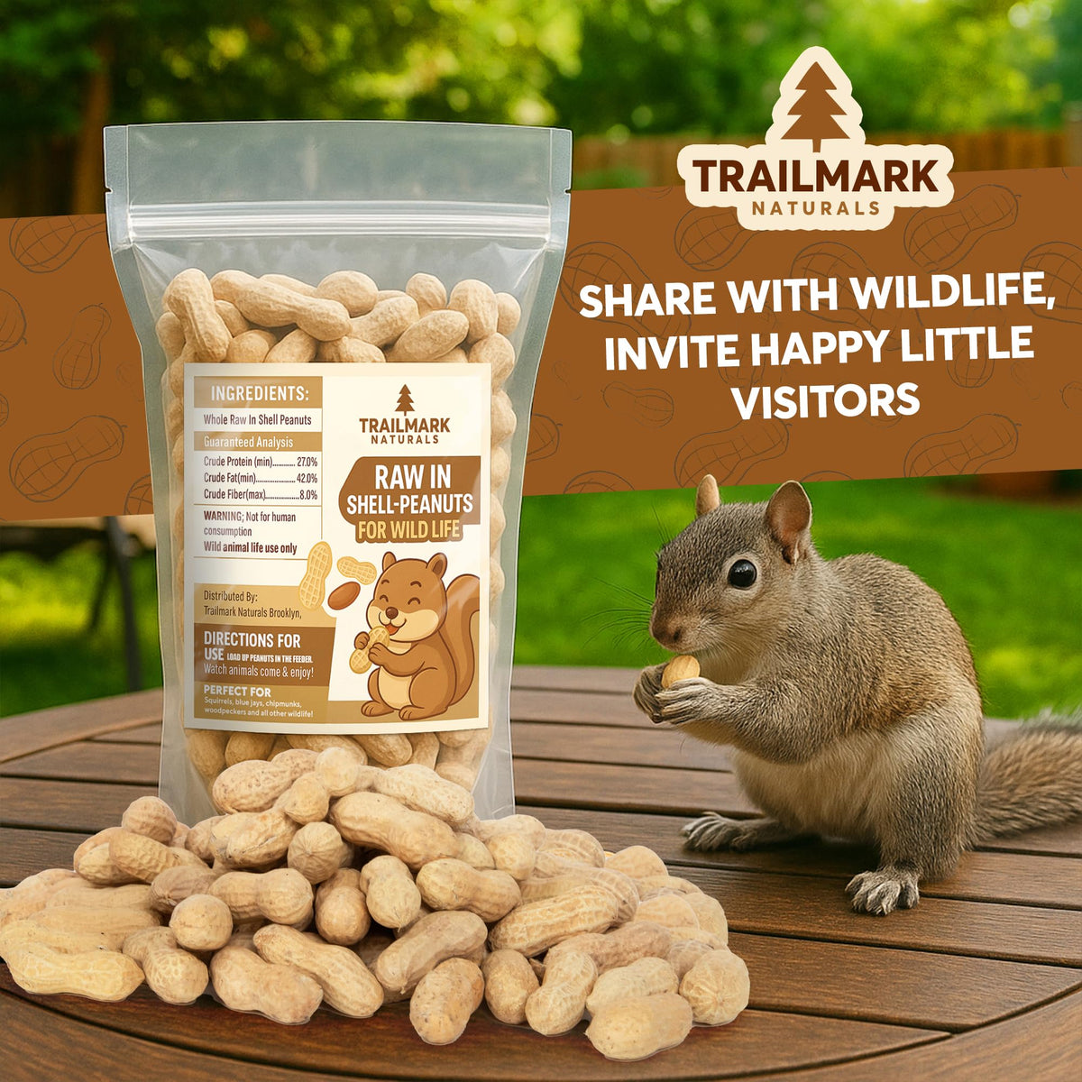 Raw Peanuts in Shell for Squirrels, Birds and Wildlife F53539