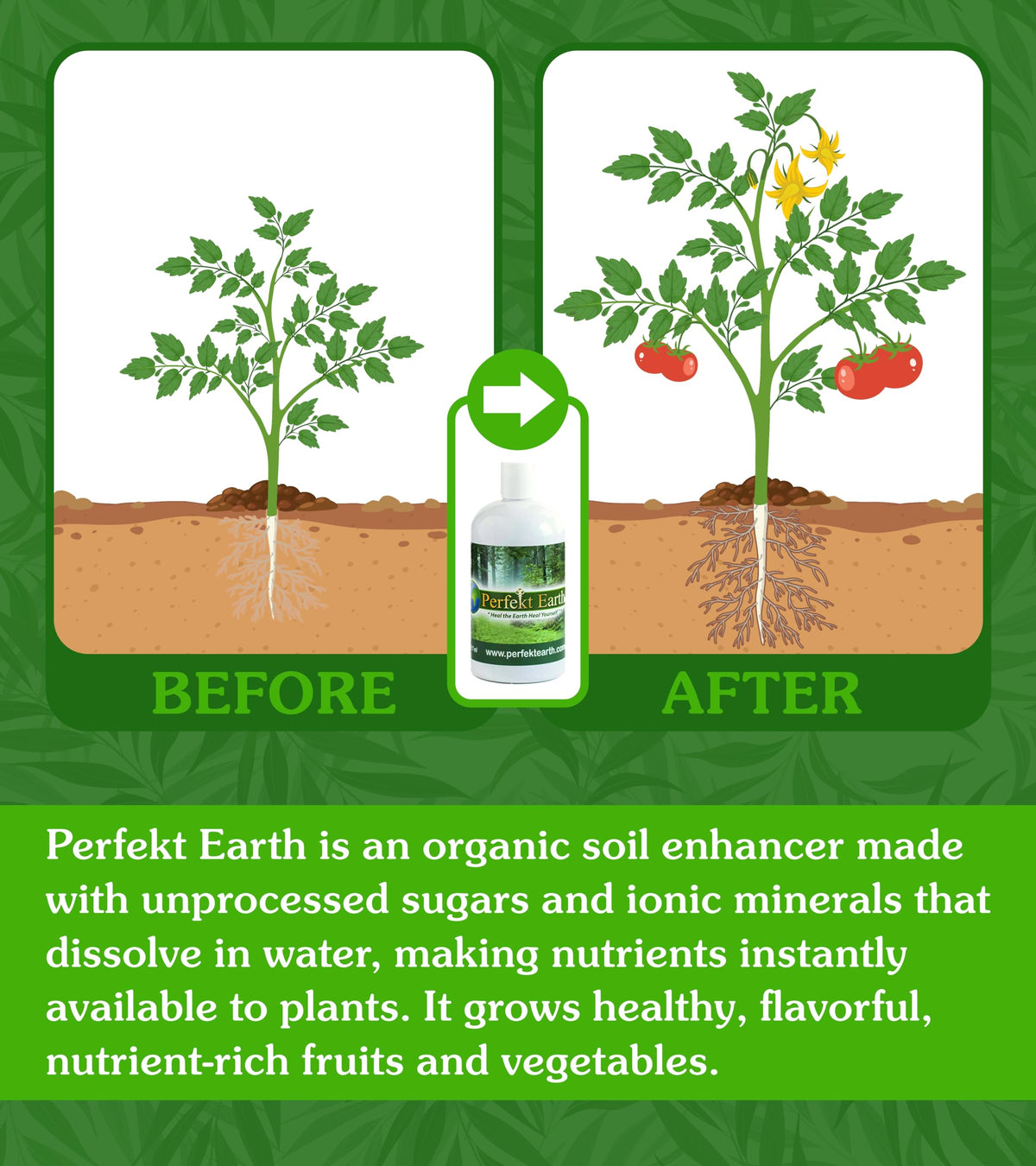 Organic Liquid Fertilizer 1 Pint U40811