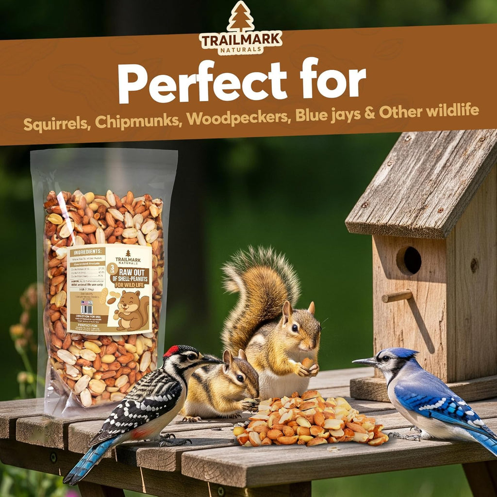 Raw Shelled Peanuts T854025
