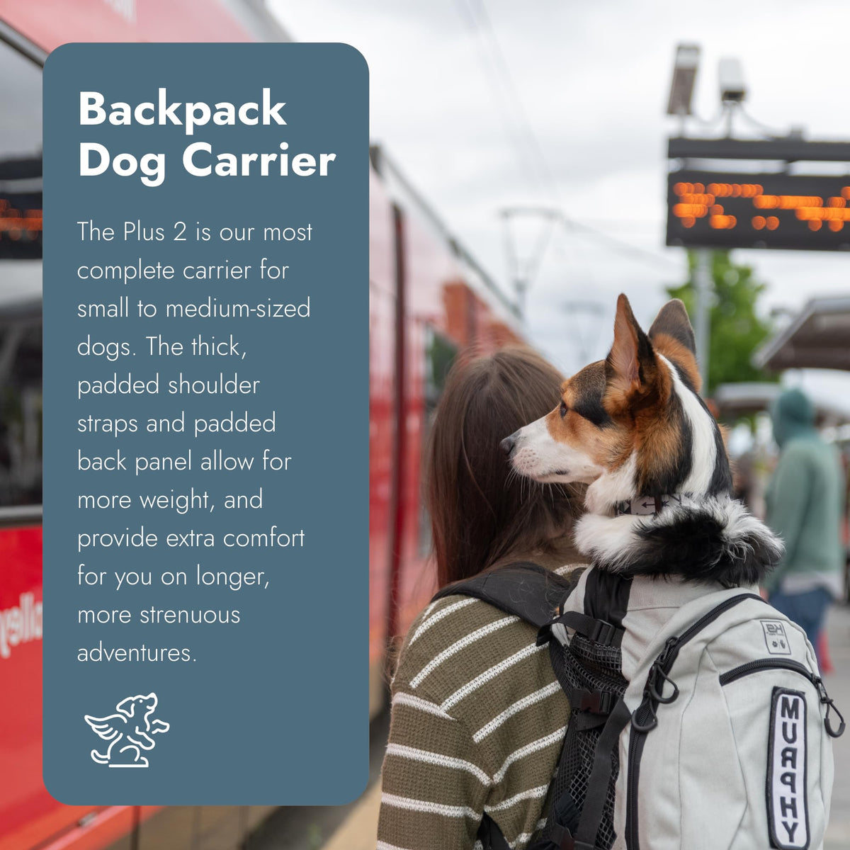 Small Light Grey Backpack-Style Dog Carrier V251