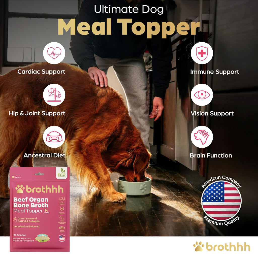 Beef Organ Bone Broth Meal Topper for Dogs Q633