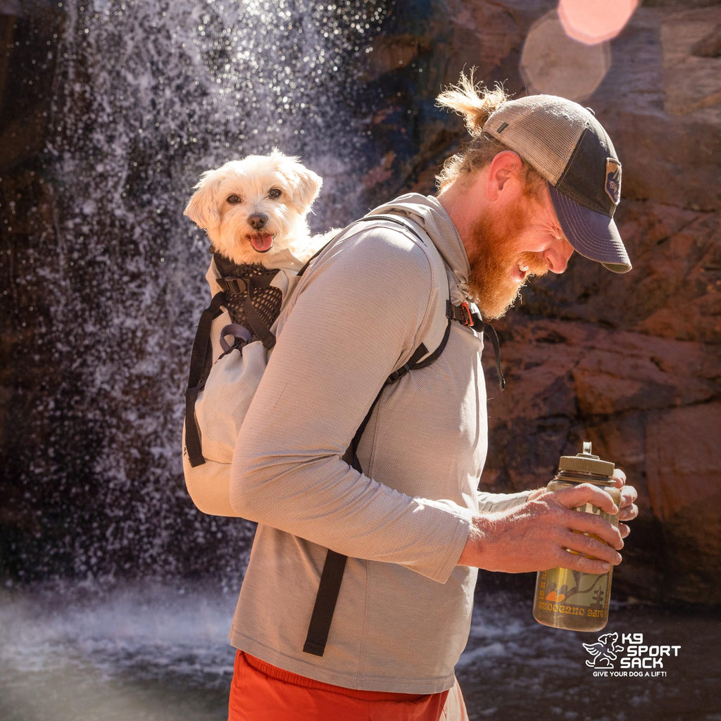 Small Light Grey Backpack-Style Dog Carrier V251