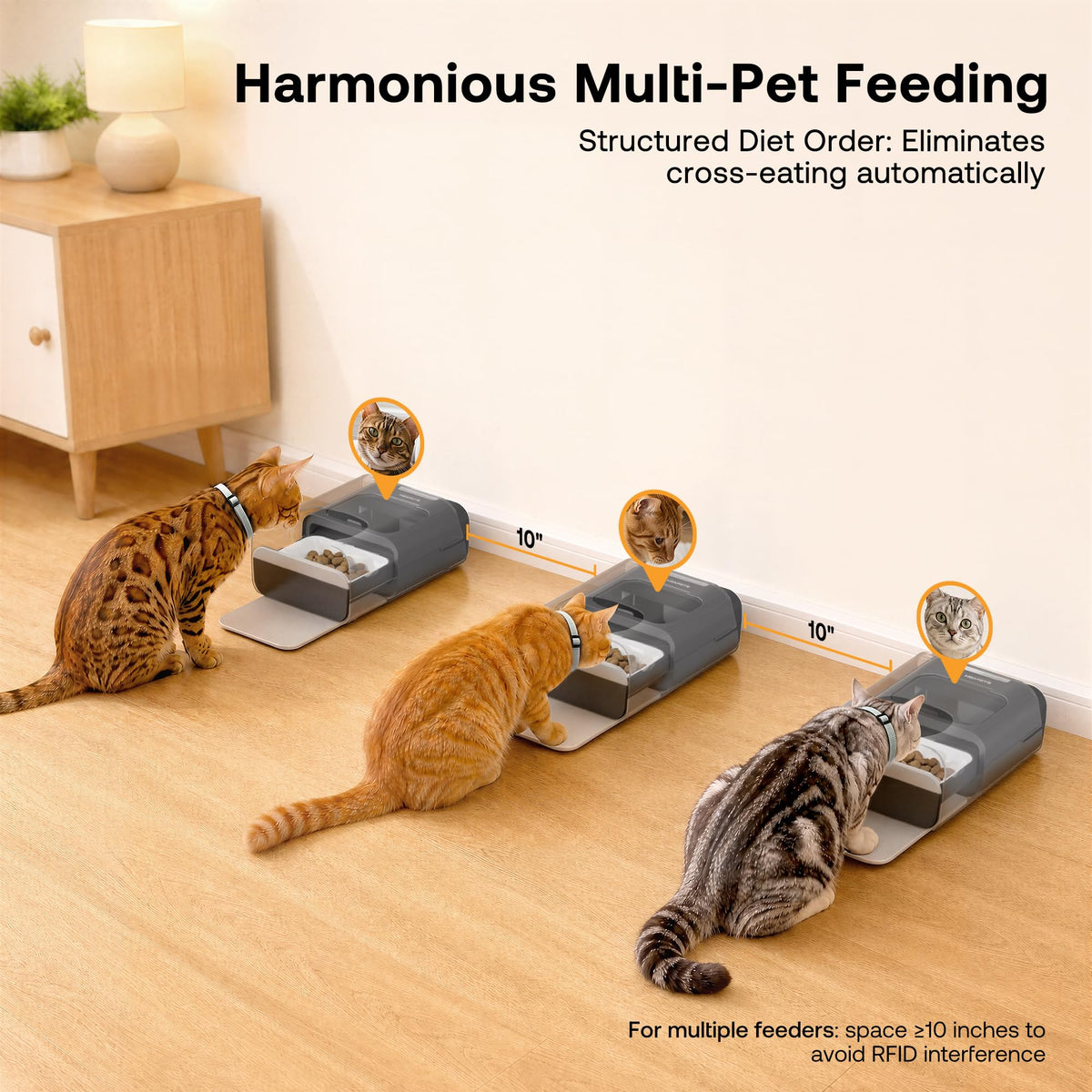 Automatic Cat Feeder with RFID Collar Sensor, Black J4491