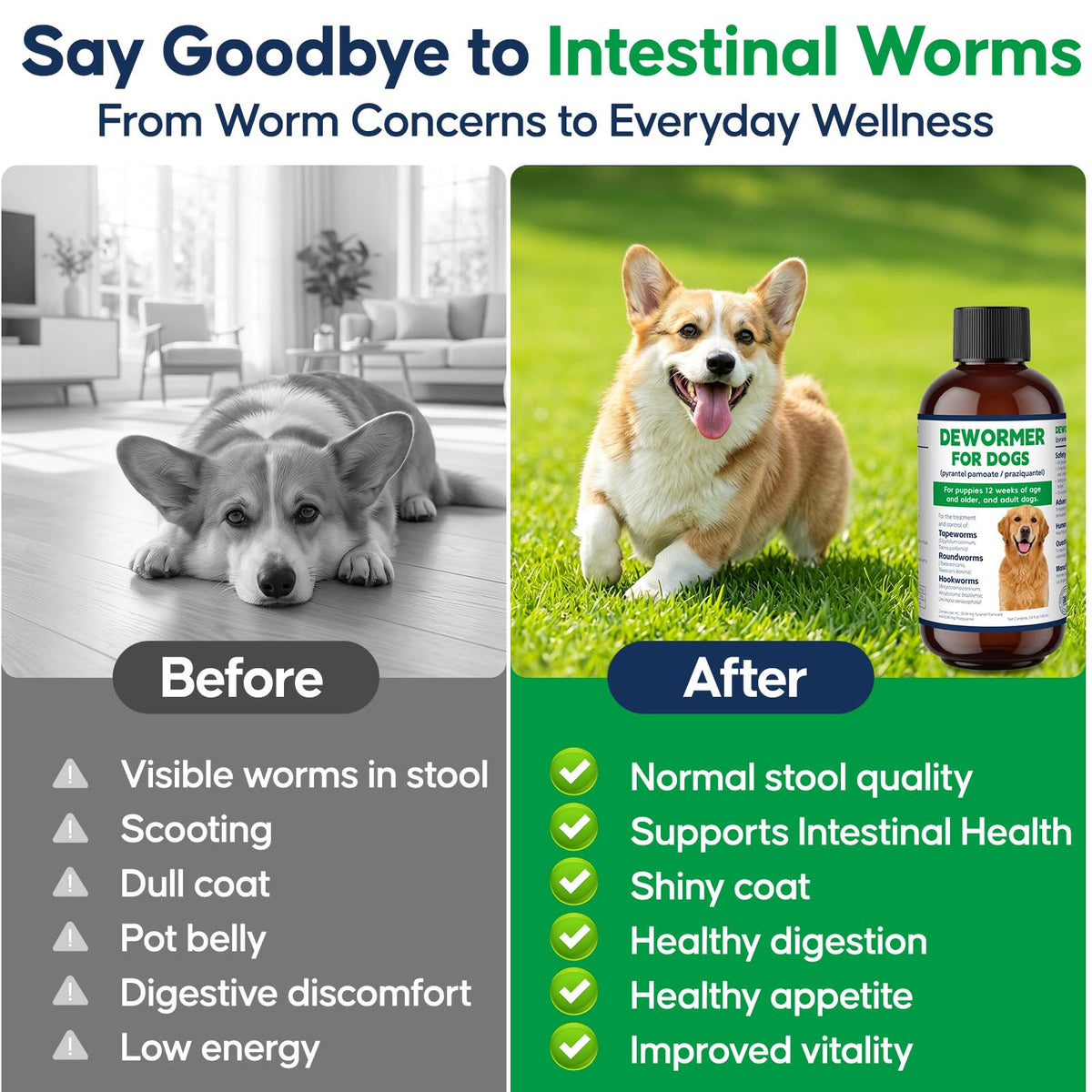 Dog Wormer Oral Liquid Treatment 100ml I879
